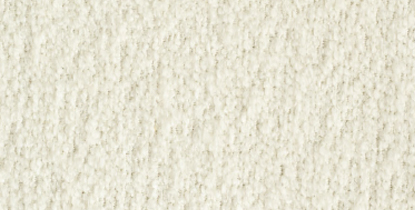IVORY 101