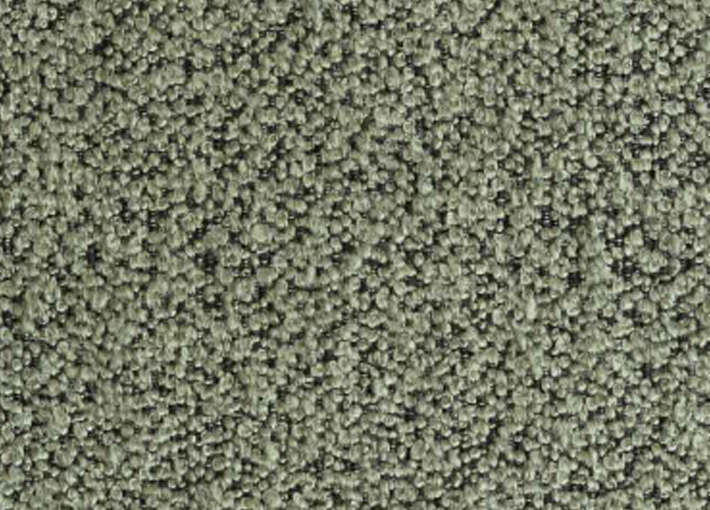 THYME 206