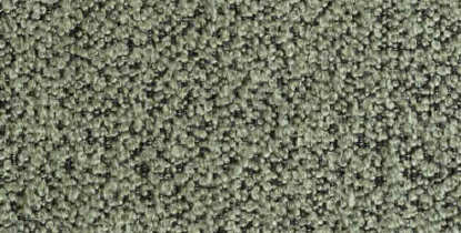 THYME 206